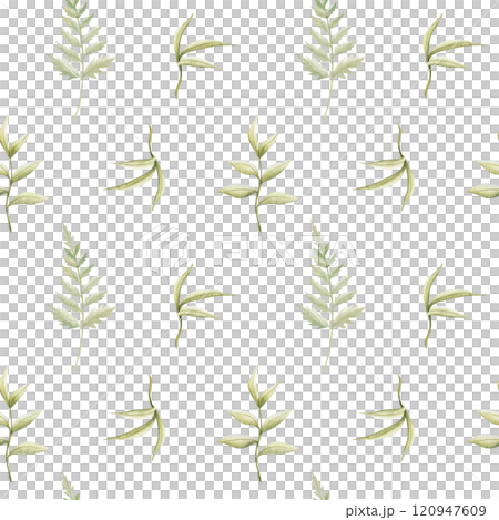 Watercolor fern leaves seamless pattern on white. Simple forest background with different foliage branches and green twigs for repeat designs and fabric printing. Minimalist woodland art 120947609