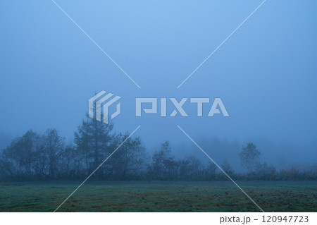 カヤの平の森 120947723