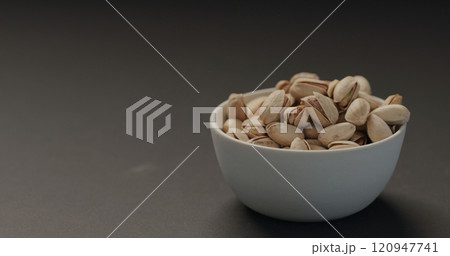 Pine forest after a large scale fire in France, Landscape of a burnt forest, New green vegetation after a forest fire 120947741