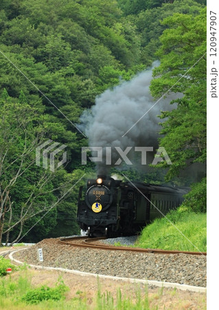 SLやまぐち号 D51　8601 120947907