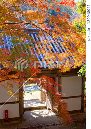 兵庫県三木市にある紅葉の綺麗な第二十六番札所 大谷山 大谿寺 伽耶院（だいけいじきゃらいん）の二天堂 120948045