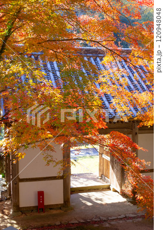 兵庫県三木市にある紅葉の綺麗な第二十六番札所 大谷山 大谿寺 伽耶院（だいけいじきゃらいん）の二天堂 120948048