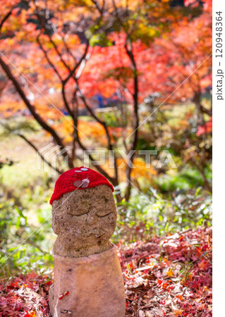 兵庫県三木市にある大谷山 大谿寺 伽耶院（だいけいじきゃらいん）境内の紅葉が見頃のお庭にある地蔵さん 120948364