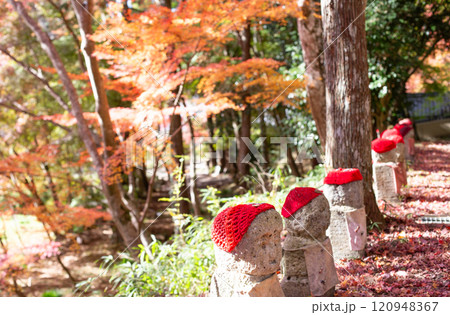 兵庫県三木市にある大谷山 大谿寺 伽耶院（だいけいじきゃらいん）境内の紅葉が見頃のお庭にある地蔵さん 120948367