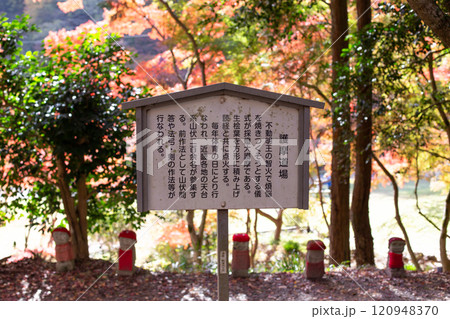 兵庫県三木市にある大谷山 大谿寺 伽耶院（だいけいじきゃらいん）境内の紅葉が見頃のお庭にある地蔵さん 120948370
