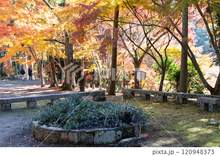 兵庫県三木市にある大谷山 大谿寺 伽耶院（だいけいじきゃらいん）境内の紅葉が見頃のお庭にある地蔵さん 120948373