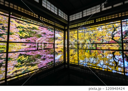 京都八瀬 瑠璃光院紅葉 京都八瀬 瑠璃光院紅葉 120948424