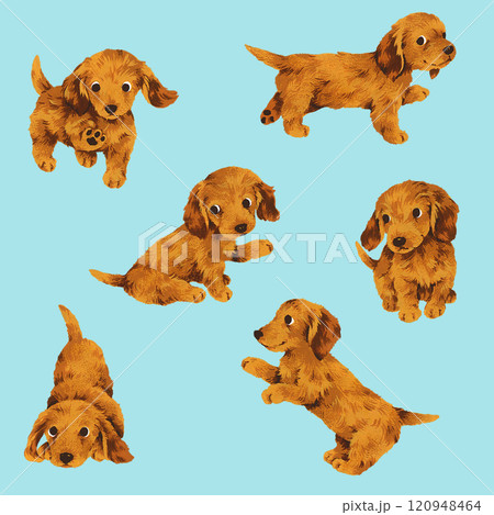 手描きで描いた可愛い犬のイラスト素材, 120948464