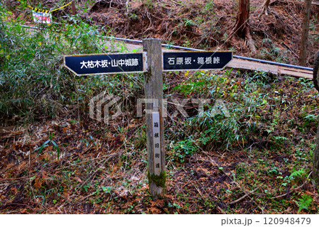 【東海道五十三次の標識】神奈川県＆静岡県・箱根宿～三島宿・箱根旧街道（2018年） 120948479