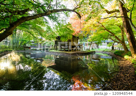 秋の中尊寺　静かな朝を迎えた弁財天堂　岩手県 120948544