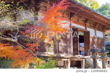兵庫県三木市にある紅葉の綺麗な大谷山 大谿寺 伽耶院（だいけいじきゃらいん）本堂 120948683
