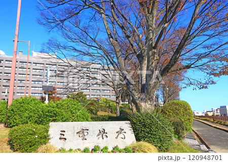 三重県津市、三重県庁の風景 120948701