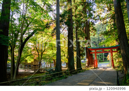 清々しい朝を迎えた中尊寺 白山神社参道と弁財天堂 岩手県 清々しい朝を迎えた中尊寺 白山神社参道と弁財天堂 岩手県 120948996