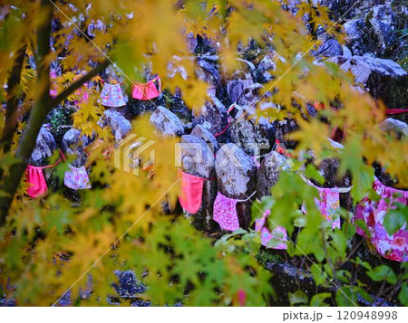 《高知県》竹林寺の紅葉 《高知県》竹林寺の紅葉 120948998