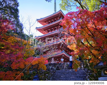 《高知県》竹林寺の紅葉 《高知県》竹林寺の紅葉 120949006