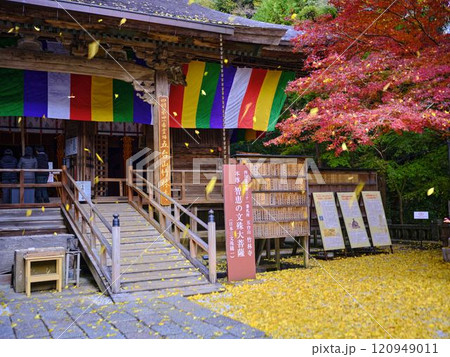 《高知県》竹林寺の紅葉 120949011