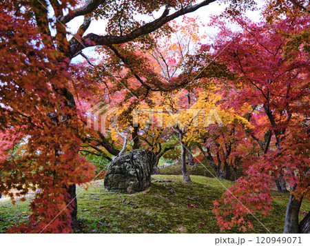 岡山後楽園の紅葉 岡山後楽園の紅葉 120949071