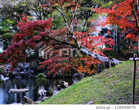 岡山後楽園の紅葉 120949079