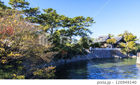 葉山町のシンボル森戸神社 葉山町のシンボル森戸神社 120949140