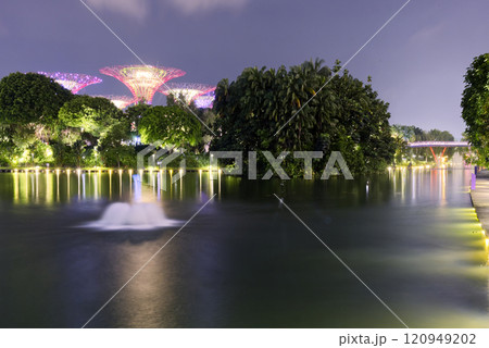 Supertree Grove landmark in Sentosa island, Marina Bay area of Singapore. Supertree Grove landmark in Sentosa island, Marina Bay area of Singapore. 120949202