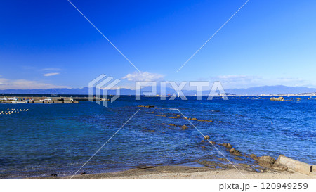 葉山から望む湘南の海と富士山と裕次郎灯台 120949259