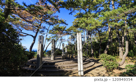 葉山しおさい公園の紅葉 120949354