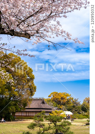 【日本三名園】特別名勝 後楽園　春の延養亭3　岡山県岡山市北区 120950332