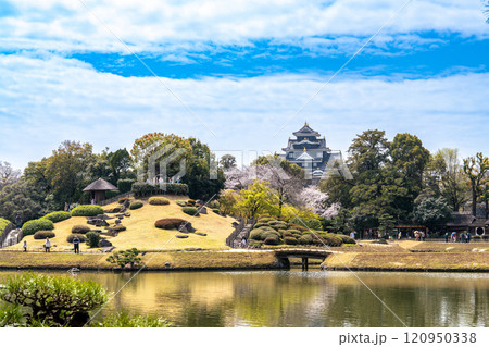 【日本三名園】特別名勝 後楽園の春 池越しの唯心山と岡山城10 岡山県岡山市北区 【日本三名園】特別名勝 後楽園の春 池越しの唯心山と岡山城10 岡山県岡山市北区 120950338