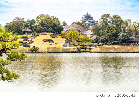 【日本三名園】特別名勝 後楽園の春　池越しの唯心山と岡山城9　岡山県岡山市北区 120950343