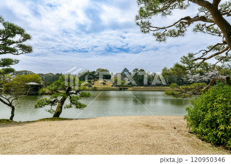 【日本三名園】特別名勝 後楽園の春　池越しの唯心山と岡山城7　岡山県岡山市北区 120950346