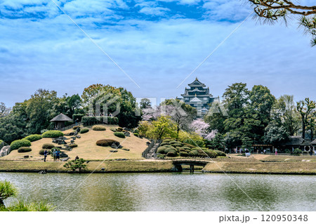 【日本三名園】特別名勝 後楽園の春 池越しの唯心山と岡山城6 岡山県岡山市北区 【日本三名園】特別名勝 後楽園の春 池越しの唯心山と岡山城6 岡山県岡山市北区 120950348