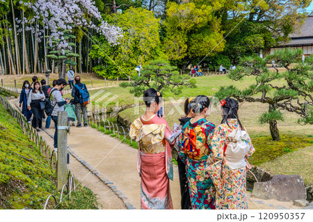 【日本三名園】特別名勝 後楽園の春 振袖姿の女性たち 岡山県岡山市北区 【日本三名園】特別名勝 後楽園の春 振袖姿の女性たち 岡山県岡山市北区 120950357