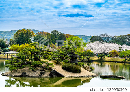 【日本三名園】特別名勝 後楽園の春　池と松と桜6　岡山県岡山市北区 120950369