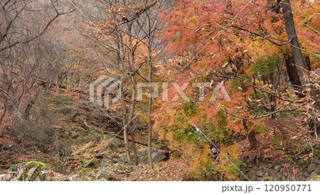 autumn mountain 120950771