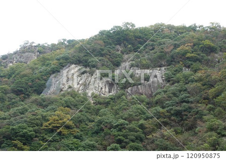 武庫川渓谷　廃線跡 ハイキング 120950875