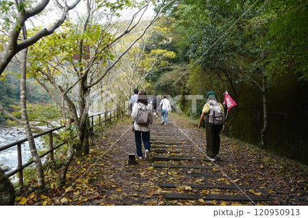 武庫川渓谷　廃線跡 ハイキング 120950913