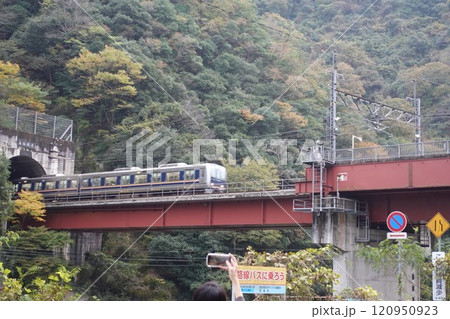 武庫川渓谷　西宮名塩トンネル　JR武田尾駅 120950923