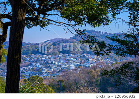三ヶ岡山緑地(大峰山)のあじさいコース北側中腹から北東側の眺望(阿部倉山,ソッカ,葉山町堀内など) 120950932