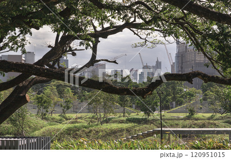 View of Modern high buildings among green trees space in nature against blue sky with clouds at afternoon. View of Modern high buildings among green trees space in nature against blue sky with clouds at afternoon. 120951015