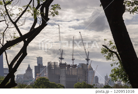 View of The skyscrapers of under construction in Bangkok seen through large green trees space at Afternoon. View of The skyscrapers of under construction in Bangkok seen through large green trees space at Afternoon. 120951016