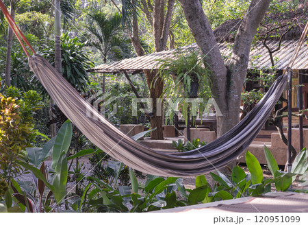 A peaceful scene with Cozy hammock hanging at terrace surrounded by lush greenery on sunny day. 120951099