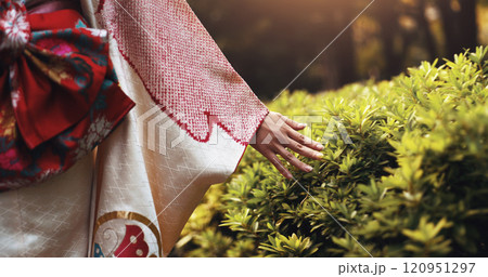 Outdoor, park and woman hand with plant touch, fashion and travel with trip and holiday in Tokyo. City, kimono and weekend with journey, nature and traditional clothes with adventure and style 120951297