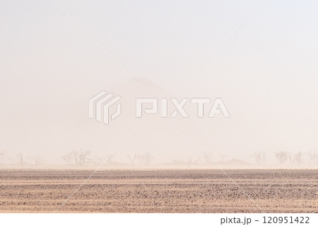 sandstorm in sossusvlei sandstorm in sossusvlei 120951422