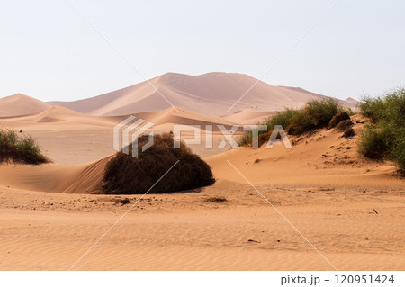 Desert landscape near Sossusvlei 120951424