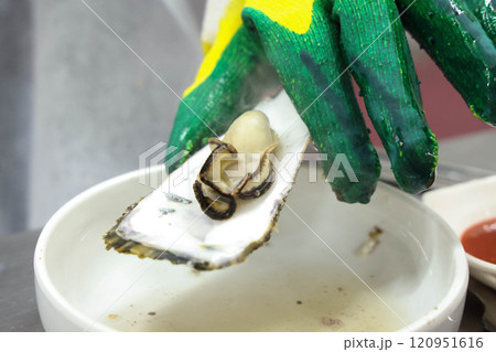 Korean seafood food. Steamed oysters Korean seafood food. Steamed oysters 120951616
