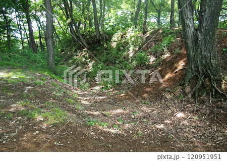 金山城跡 西城の土塁【群馬県太田市】 120951951