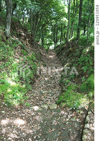 金山城跡の西矢倉台西堀切【群馬県太田市】 120951959