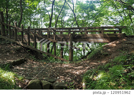 金山城跡 西矢倉台西堀切の木橋【群馬県太田市】 金山城跡 西矢倉台西堀切の木橋【群馬県太田市】 120951962