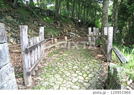 金山城跡の物見台下通路【群馬県太田市】 120951968