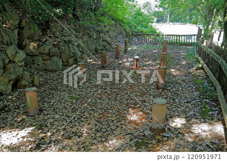 金山城跡 物見台下通路の建物跡【群馬県太田市】 金山城跡 物見台下通路の建物跡【群馬県太田市】 120951971
